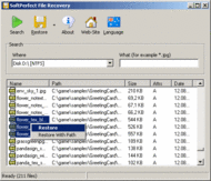 SoftPerfect File Recovery screenshot